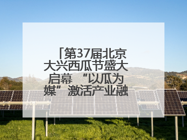 第37届北京大兴西瓜节盛大启幕 “以瓜为媒”激活产业融合发展新动能