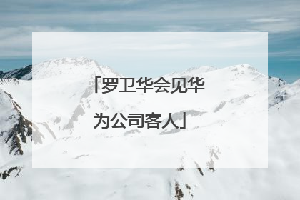 罗卫华会见华为公司客人