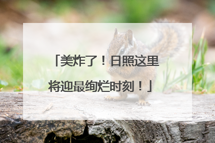 美炸了！日照这里将迎最绚烂时刻！