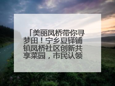 美丽凤桥带你寻梦田！宁乡夏铎铺镇凤桥社区创新共享菜园，市民认领菜土，体验耕种收获乐趣