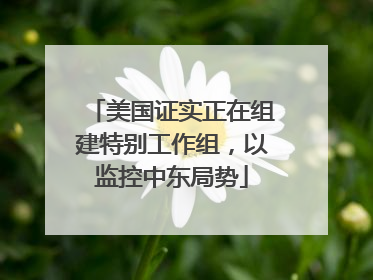 美国证实正在组建特别工作组，以监控中东局势