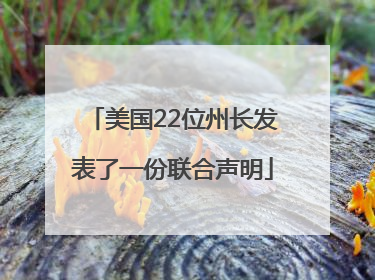 美国22位州长发表了一份联合声明