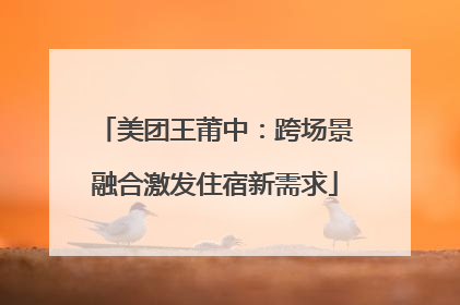 美团王莆中：跨场景融合激发住宿新需求