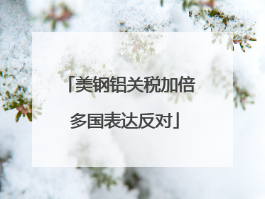 美钢铝关税加倍 多国表达反对
