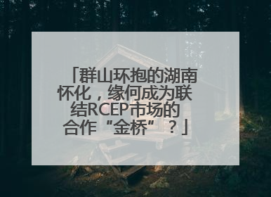 群山环抱的湖南怀化，缘何成为联结RCEP市场的合作“金桥”？