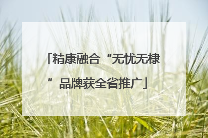 精康融合“无忧无棣”品牌获全省推广