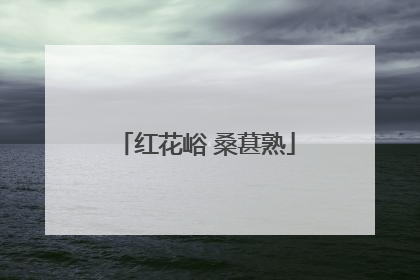 红花峪 桑葚熟