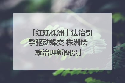红观株洲丨法治引擎驱动蝶变 株洲绘就治理新图景