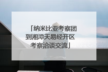纳米比亚考察团到湘潭天易经开区考察洽谈交流