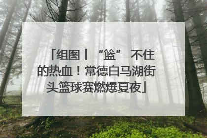 组图丨“篮” 不住的热血！常德白马湖街头篮球赛燃爆夏夜
