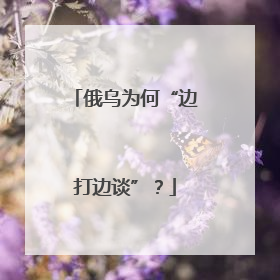 俄乌为何“边打边谈”？