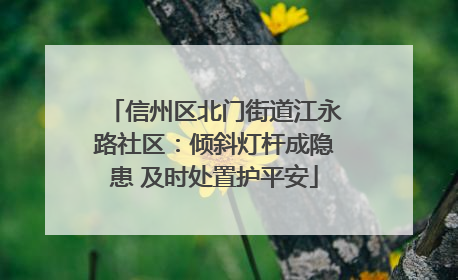 信州区北门街道江永路社区：倾斜灯杆成隐患 及时处置护平安