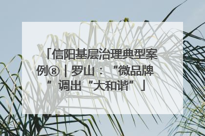 信阳基层治理典型案例⑧｜罗山：“微品牌”调出“大和谐”