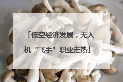低空经济发展，无人机“飞手”职业走热