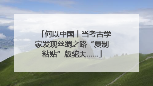 何以中国丨当考古学家发现丝绸之路“复制粘贴”版驼夫……
