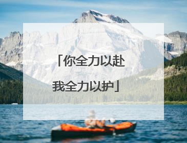 你全力以赴 我全力以护