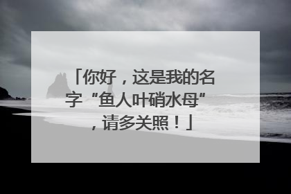 你好，这是我的名字“鱼人叶硝水母”，请多关照！