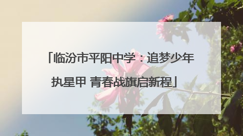 临汾市平阳中学：追梦少年执星甲 青春战旗启新程