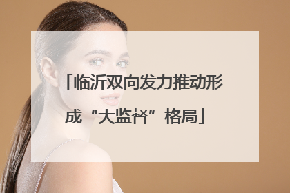 临沂双向发力推动形成“大监督”格局