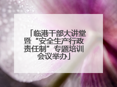 临港干部大讲堂暨“安全生产行政责任制”专题培训会议举办