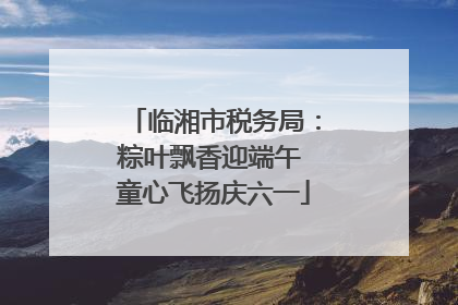 临湘市税务局：粽叶飘香迎端午 童心飞扬庆六一