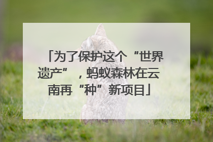 为了保护这个“世界遗产”，蚂蚁森林在云南再“种”新项目