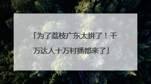 为了荔枝广东太拼了！千万达人十万村播都来了