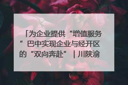 为企业提供“增值服务”巴中实现企业与经开区的“双向奔赴”｜川陕渝网络名人巴中行