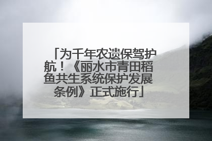 为千年农遗保驾护航！《丽水市青田稻鱼共生系统保护发展条例》正式施行