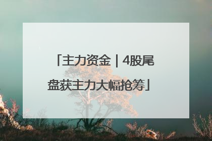 主力资金｜4股尾盘获主力大幅抢筹