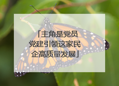 主角是党员 党建引领这家民企高质量发展