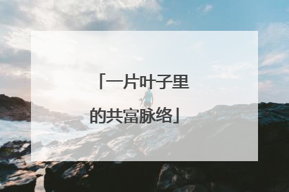 一片叶子里的共富脉络