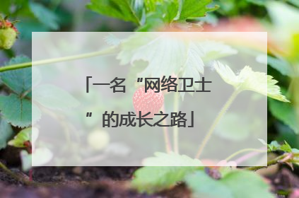 一名“网络卫士”的成长之路