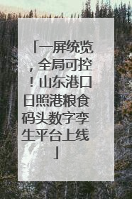 一屏统览，全局可控！山东港口日照港粮食码头数字孪生平台上线