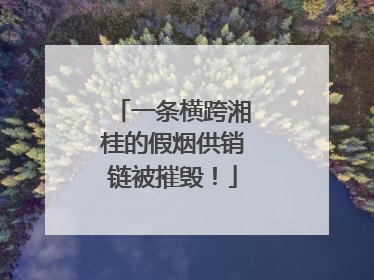 一条横跨湘桂的假烟供销链被摧毁！