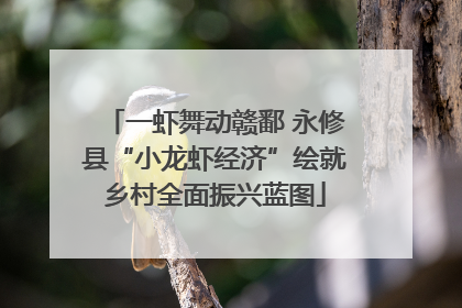 一虾舞动赣鄱 永修县“小龙虾经济”绘就乡村全面振兴蓝图