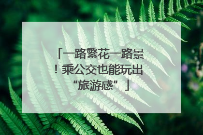 一路繁花一路景！乘公交也能玩出“旅游感”