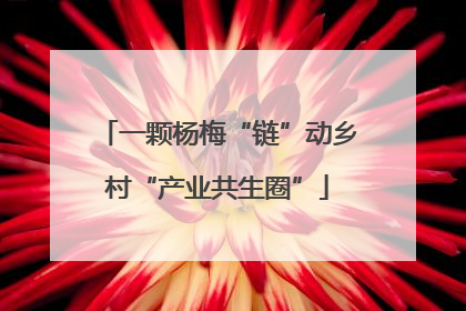 一颗杨梅“链”动乡村“产业共生圈”