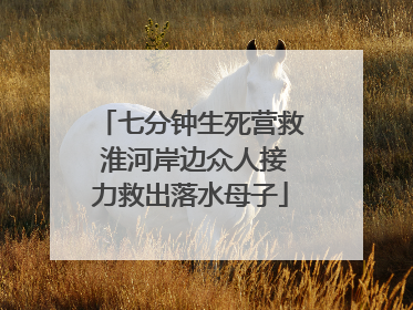七分钟生死营救 淮河岸边众人接力救出落水母子