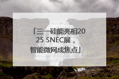 三一硅能亮相2025 SNEC展，智能微网成焦点