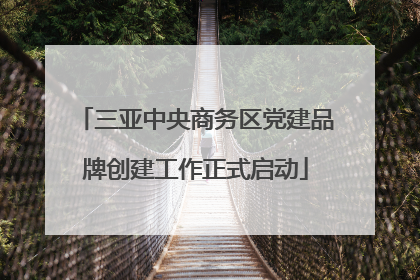 三亚中央商务区党建品牌创建工作正式启动