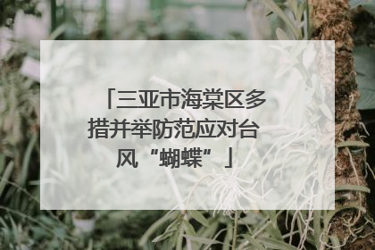 三亚市海棠区多措并举防范应对台风“蝴蝶”