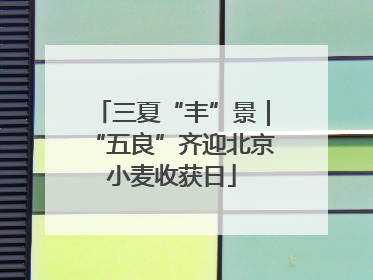 三夏“丰”景｜“五良”齐迎北京小麦收获日