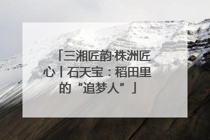 三湘匠韵·株洲匠心丨石天宝：稻田里的“追梦人”