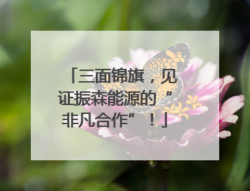 三面锦旗，见证振森能源的“非凡合作”！