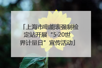 上海市电能表强制检定站开展“5·20世界计量日”宣传活动