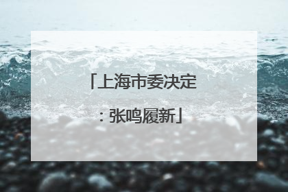 上海市委决定：张鸣履新