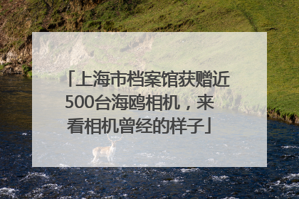 上海市档案馆获赠近500台海鸥相机，来看相机曾经的样子