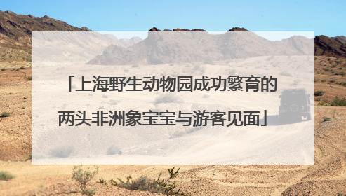 上海野生动物园成功繁育的两头非洲象宝宝与游客见面