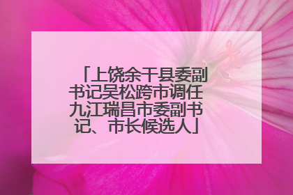上饶余干县委副书记吴松跨市调任九江瑞昌市委副书记、市长候选人